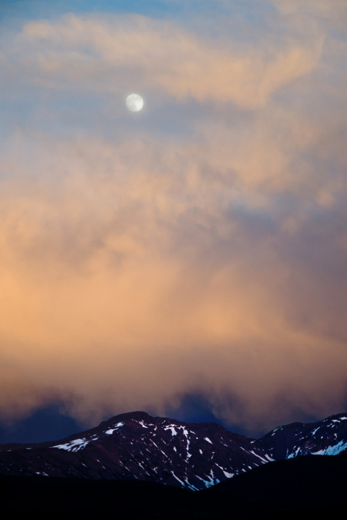 jamas-rendirse:  By K Fogle Photography 