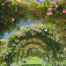 mycozyaesthetics:Walkway to heaven 🍃🌸🌷🌿