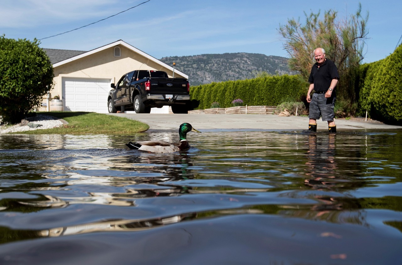 INUNDACIONES EN CANADÁ. Miles de personas fueron evacuadas de sus hogares en Columbia Británica, Canadá producto de las inundaciones. La crecida y desborde de ríos obligaron a la evacuación de personas y el cierre de rutas.
MIRÁ TODA LA...