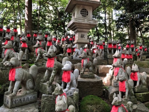 Hill of Foxes - Inari Betsuin Temple Akasaka (豊川稲荷東京別院) Toyokawa by kobalt