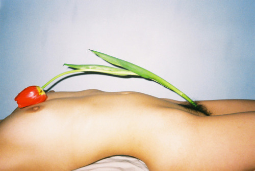 Porn Pics excdus:  Ren Hang 