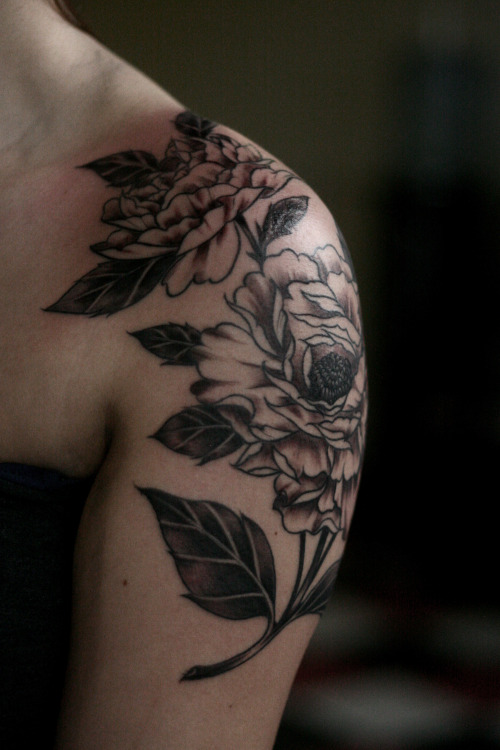 alicecarrier:  peonies!  thanks, jil! 