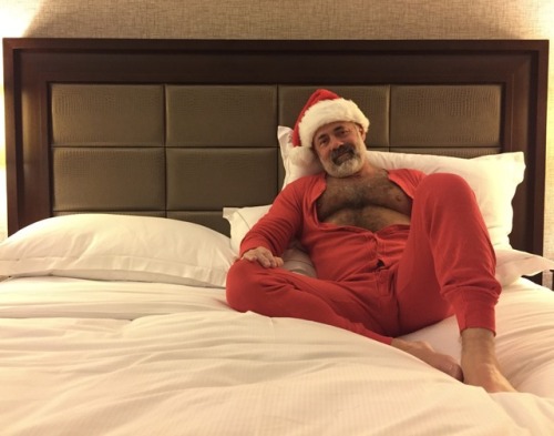 lamsclbear:Santa bear adult photos