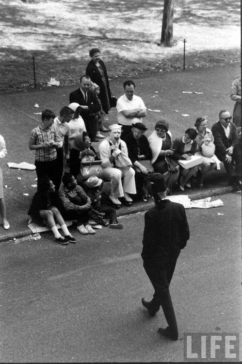 Suspicious character watching the Shriners parade in Chicago(Francis Miller. 1963)