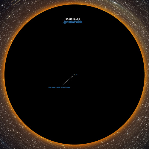 dadio46: spaceexp: S5 0014+81, The largest known supermassive black hole compared to our solar syste
