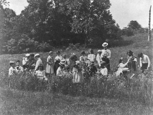 lacedheartt:School children examining wild flowers on field trip, Washington, DC, 1899 by Frances Be