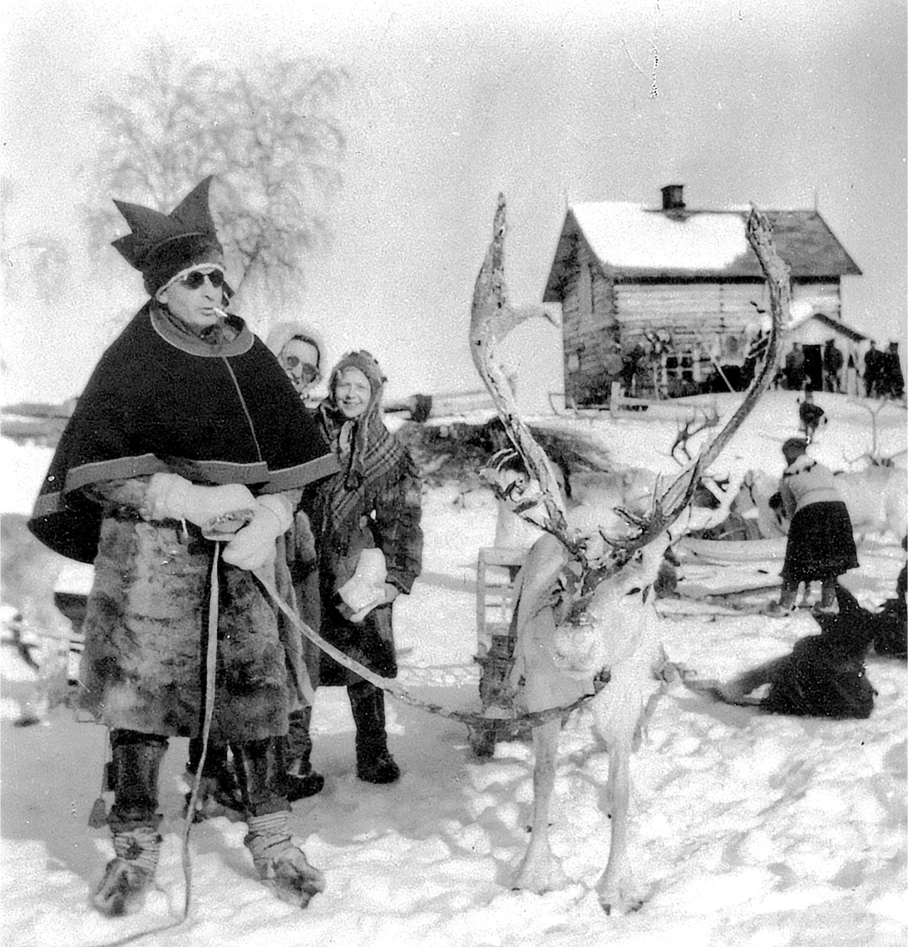 A very stylish Sámi man wearing sunglasses and smoking a cigarette, while holding the reins to his white reindeer.
Kautokeino, Norway.
C. 1910 – 1922.
Photo by Petter L. Smith. #kautokeino#norway#finnmark#reindeer#vintage photo#vintage photography#sámi#sápmi