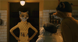 anotherwellkeptsecret:  pet owner: *hears noise*pet owner: 