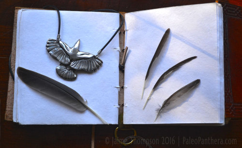 paleopanthera: After far too many delays the American Crow in flight pendant is FINALLY available f