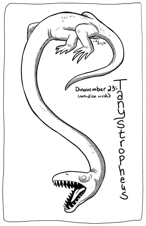 korybing:I decided to take a week out of Dinovember and devote it to extinct non-dinosaur critters! 