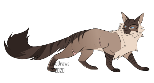 Hawkfrost &amp; Mothwing (+animation friendly designs)