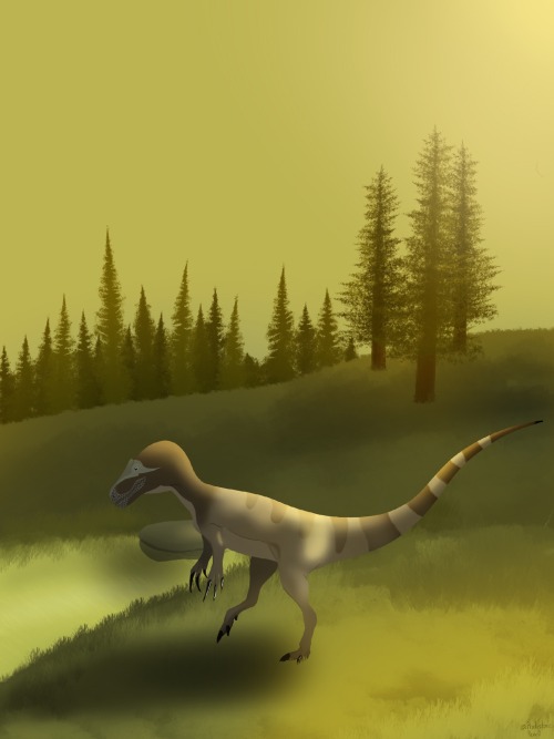 Dusk Falling On A Forested Wetland In The Late Jurassic.