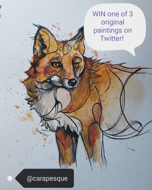 Twitter competition to win my fox, robin or squirrel painting!  Just visit @ carapesque on twitter a