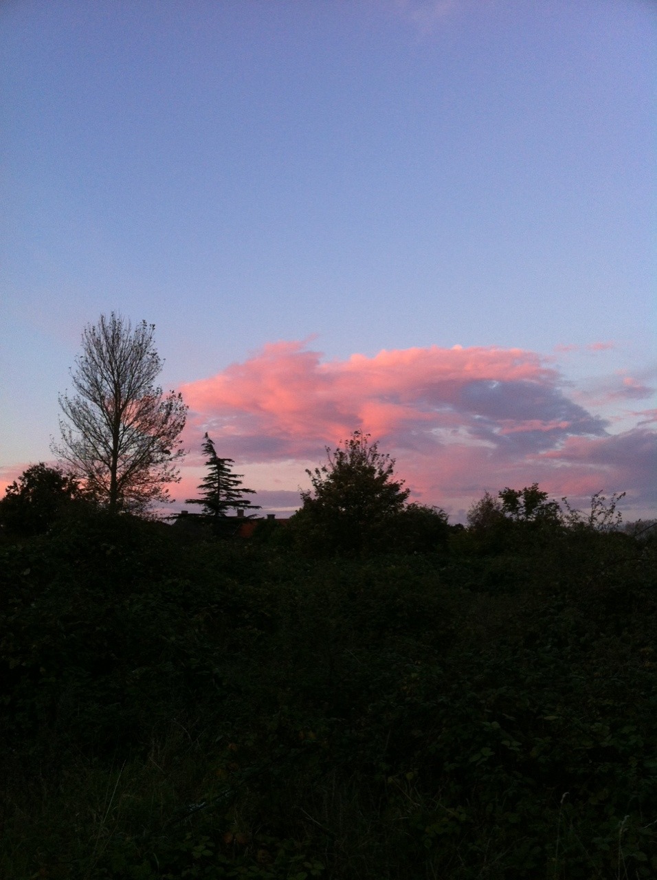 thesadcutie:  eus:  Last few nights  so so beautiful 