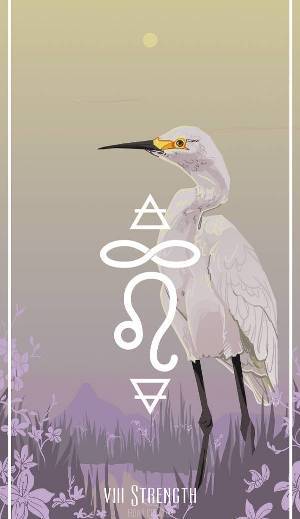 Strength card in Birds Tarot by Fiona Marchbank