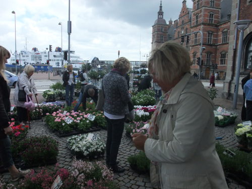   Helsingør /   Danmark  