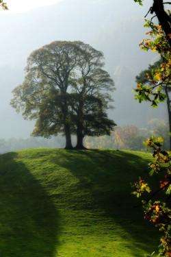 A place to reflect