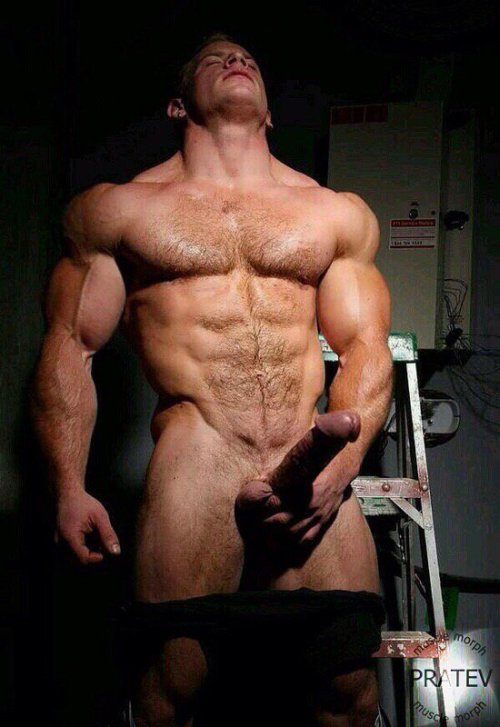 pornoboyxxl:  (via Big Muscle - Big Dicks 226889 - Monstercockland) 