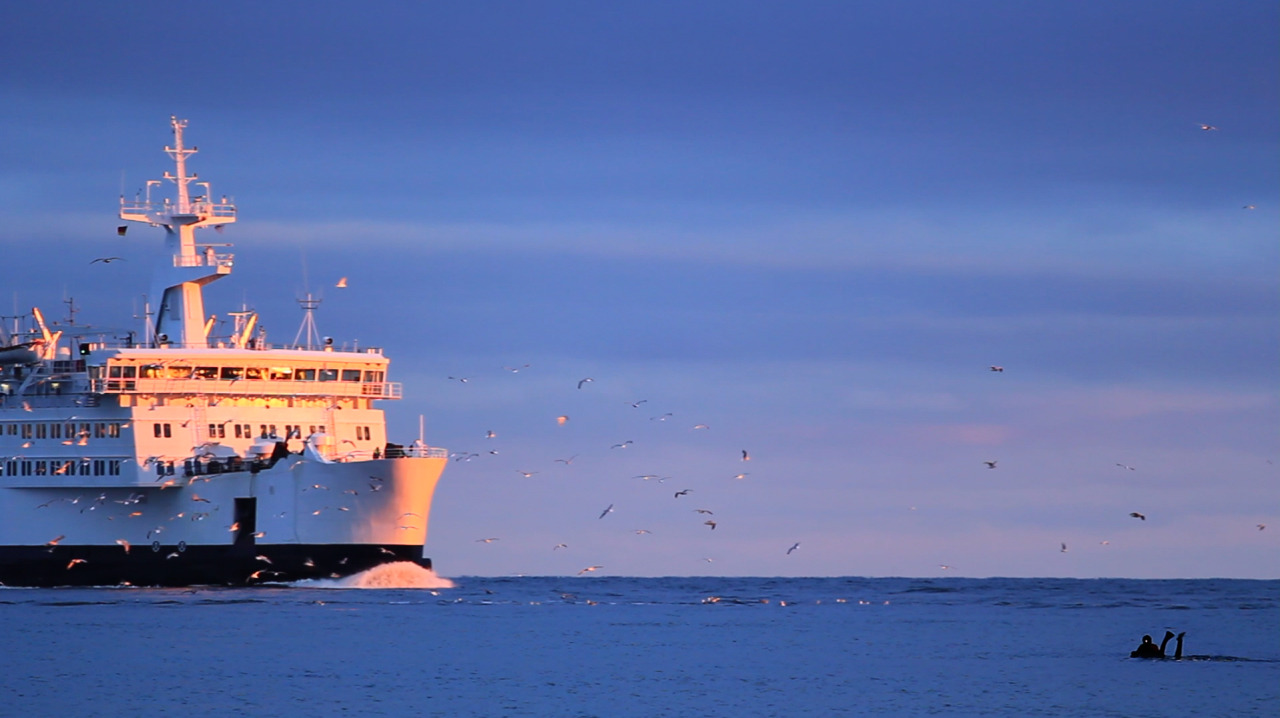 The hope was always that the ship wouldn’t slow down, and thus produce a sizable bow wave that could be surf. Unfortunately, harbor traffic, weather, and who knows what else, prevented this from happening most of the time.