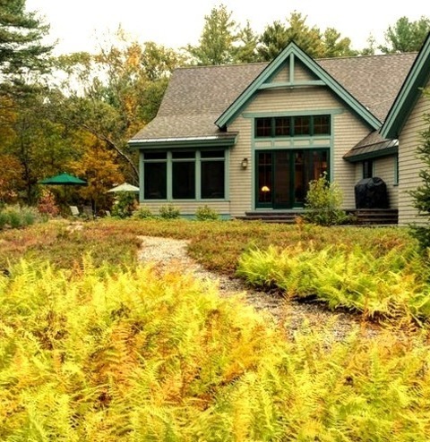 Front Yard - Craftsman Landscape
