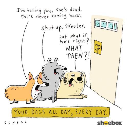 zoeyandstevethecorgi:  My cartoon is up on Shoebox’s facebook today. Click here