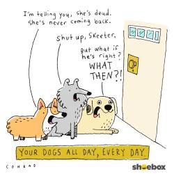 zoeyandstevethecorgi:  My cartoon is up on Shoebox’s facebook today. Click here to see the original: https://www.facebook.com/photo.php?fbid=10152052276171566&amp;set=a.85326341565.92976.84062281565&amp;type=1&amp;theater 