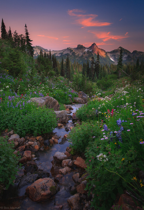 renamonkalou:  Evening Walk in Paradise or What a Wonderful World… | Ben Marar 