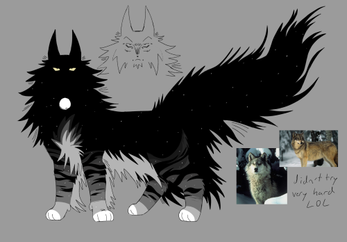 Crow/night Windclan Family . I Tried Basing Night And Breeze After Other Animals You May See On The Plains...