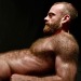 hairyobsessionss:Ginger obsession https://hairyobsessionss.tumblr.com/Hairy Furry Men