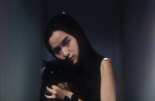 coelacance: the cat (lam ngai kai, 1992)