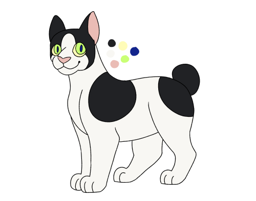 Jester, just a little dude in Sol’s kittypet group. A drawing of Jester. He is a short ha