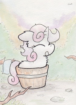 slightlyshade:  This is totally how Sweetie Belle takes a bath.  So much cuuuuuute!