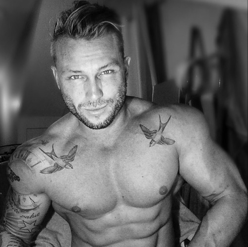 Adonis Files