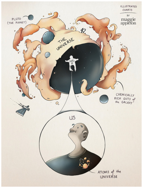 An Illustrated Chart for Neil deGrasse Tyson “The very molecules that make up your body, the a