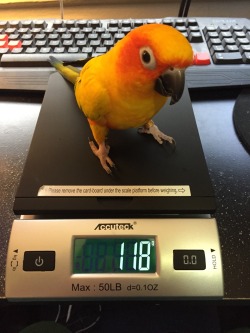 pepperandpals:Also got a scale for weighing