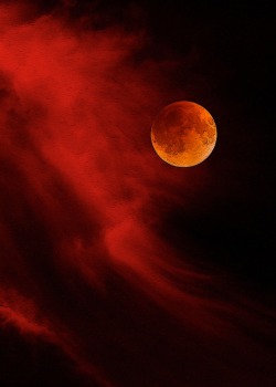 wolfdancer:  wolfdancer:- Blood on the moon?