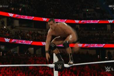 Wrestling Giffer