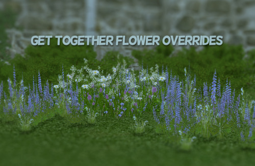 alectorcc:These replace the two world flowers in Windenburgh. Most of the textures edited were from 