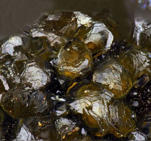 Corkeite on Limonite matrix - Schöne Aussicht Mine, Dernbach, Rhineland-Palatinate, Germany      