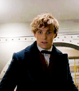 keoghanbarry:In which Newt is Fed Up with Animals + Beasts - A Trilogy