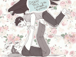 castielssexappeal:   Dean helping Cas to stretch his recovered wings~(x) 