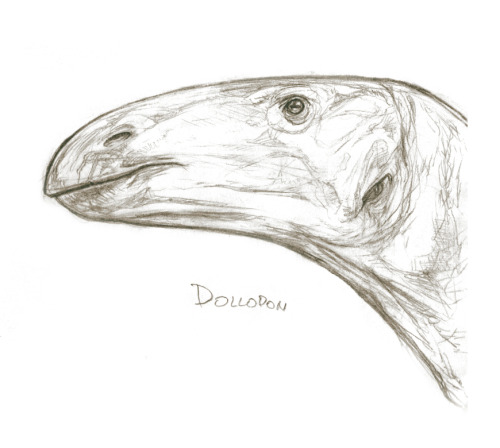 Sketchy Dino Head_Dollodon. Pencils, 2020.References: Greg S. Paul.