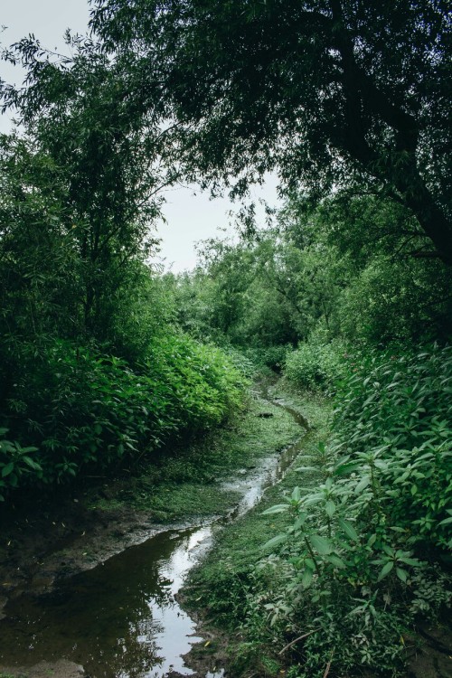 snorkeldink:  By Snorkeldink