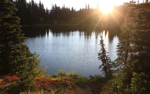 burningmine:Goat Rocks Wilderness, August 2017