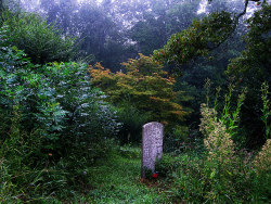 90377:  Mountain Grave by Kentucky Mountain Man on Flickr.