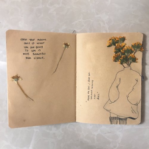 scribbleggs:  my fav journal entries in my porn pictures