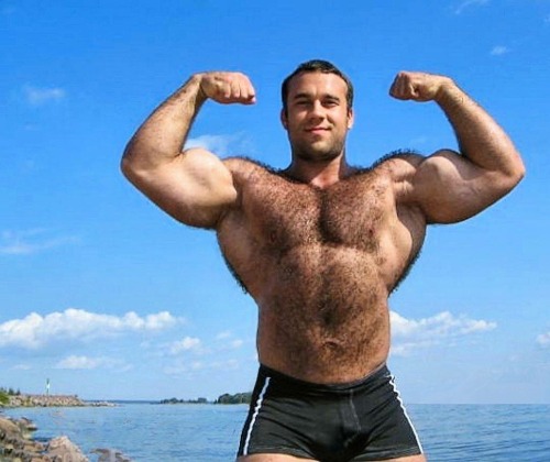 Porn photo Handsome, sexy, muscular and hairy just what