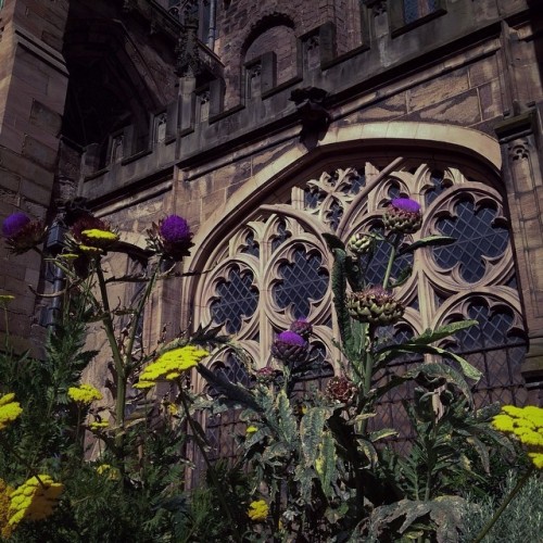 legendary-scholar:  Hereford Cathedral.