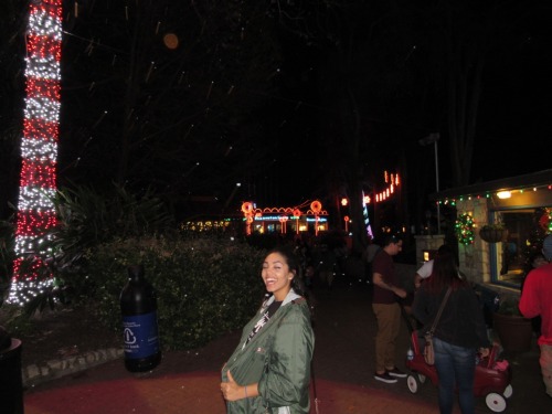 loveablewitch: Baby took me to Zoo lights a couple weeks ago