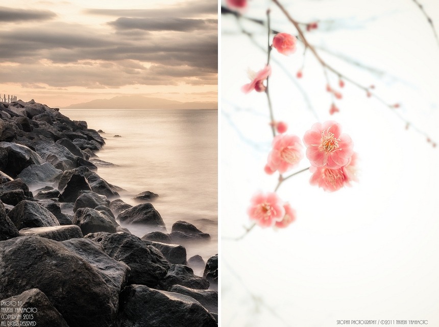 floralls:by SNOPAN PHOTOGRAPHY